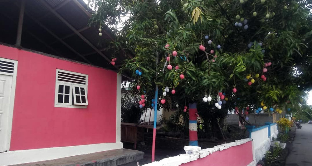 Saruna #74 – Ziemassvētku eglītes vietā mango koks