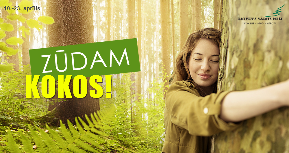 “Zūdam kokos!” sadarbībā ar Latvijas valsts mežiem