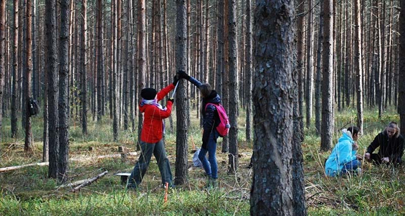Skolas arvien vairāk novērtē mežu kā vietu mācībām