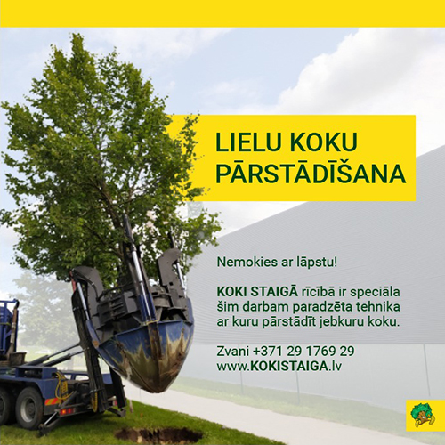 Koki Staigā