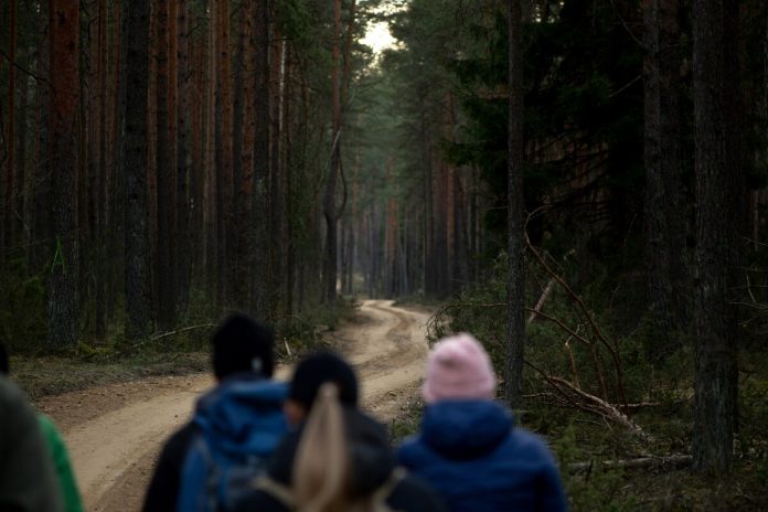 Daba, mežs, pārgājiens, pastaiga, cilvēki