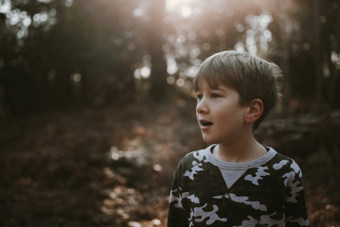 Zēns, daba, bērns, koki, mežs