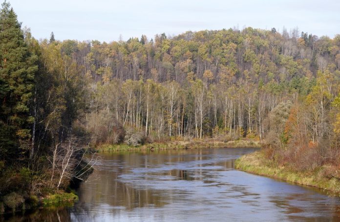 Gauja, rudens Siguldas novadā