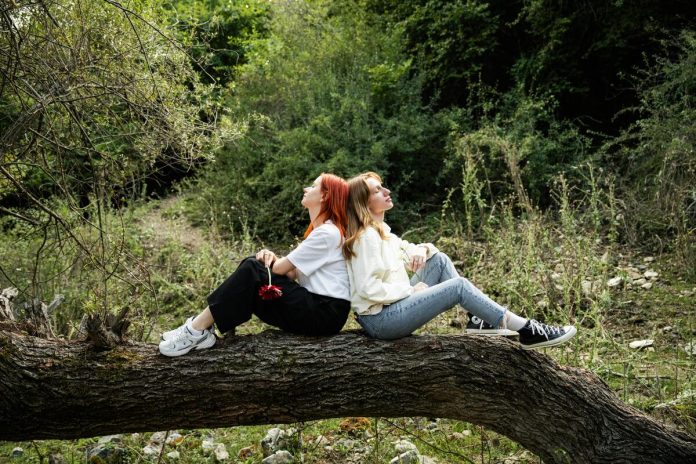 Meitenes, sievietes, draudzība, daba, koks, attiecības